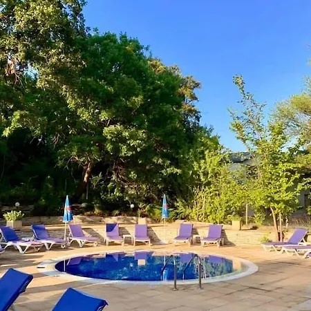 Boutique Orchidea ホテル