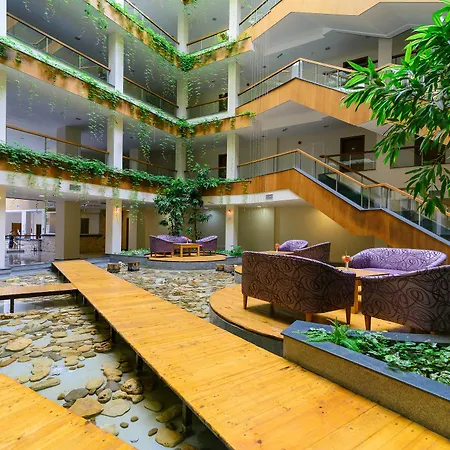 Boutique Orchidea ホテル