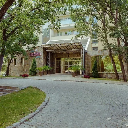 ホテル Boutique Orchidea