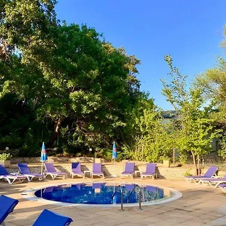 Boutique Orchidea ホテル 4*