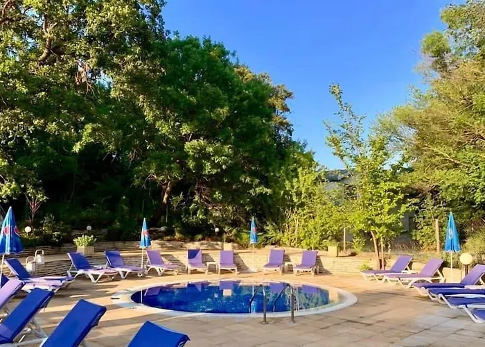 Boutique Orchidea Hotel