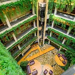 Boutique Orchidea